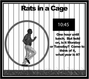 rat